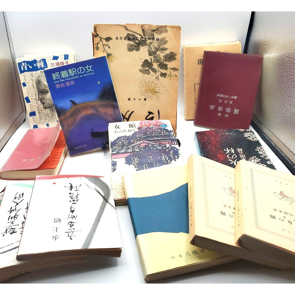 Vintage CHINESE Ephemera LANGUAGE LEARNING Book Lot Small Dictionary PB